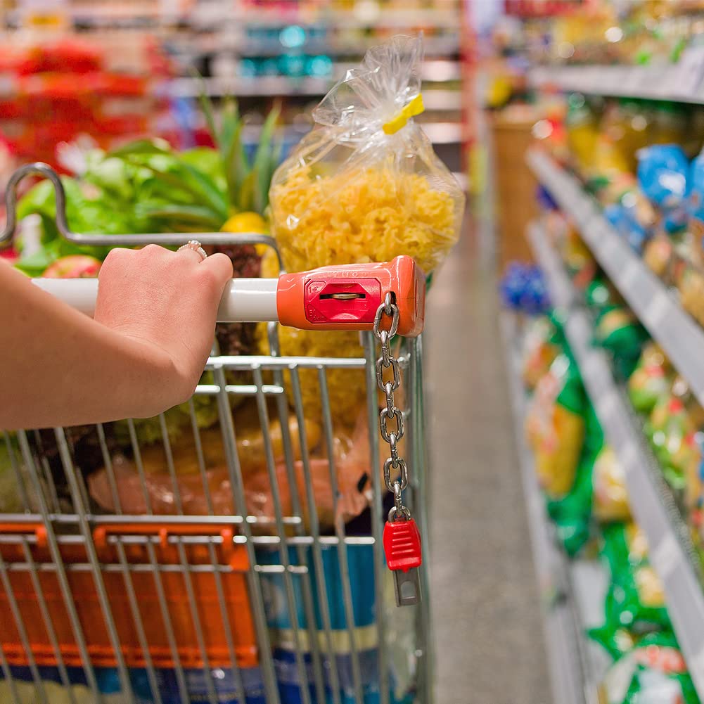 Kit De Finition Et Polissage Pour Résine Composite Dentaire – Disques, Bandes, Mandrin, Grain Fin