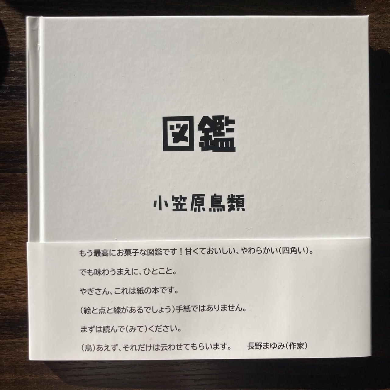 Amazon.co.jp: 小笠原鳥類 詩画集 『図鑑』 : 小笠原鳥類: 本