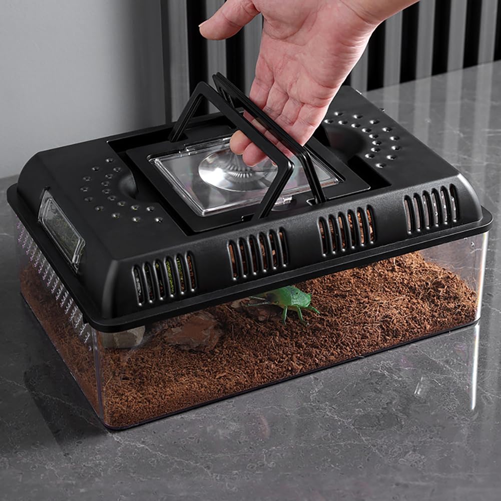Caja Transporte Reptiles Diseño de Luz Incorporada - Portátil Caja de Alimentación de Reptiles y Anfibios 31,5 x 22 x 12,5 cm - Terrario de Plástico Transparente
