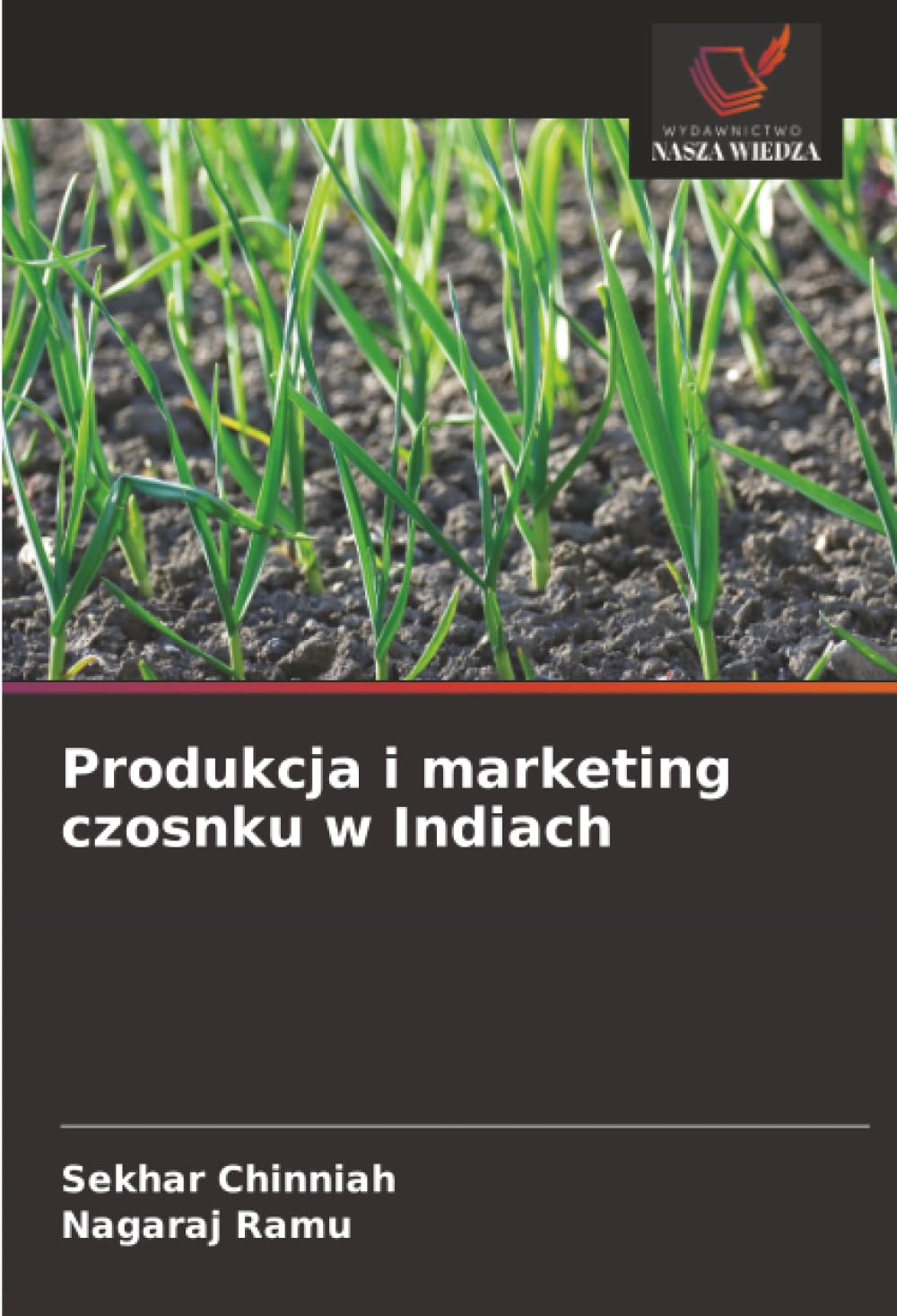 Produkcja i marketing czosnku w Indiach