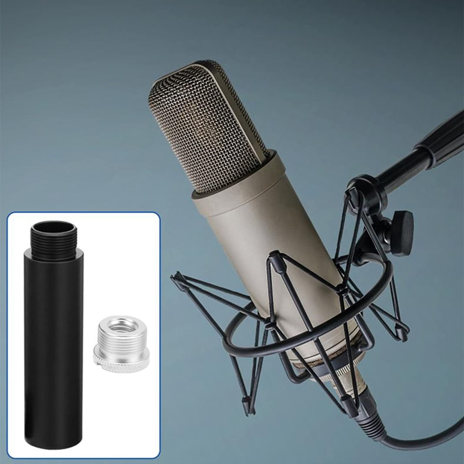 Set Karaoke Per Bambini Con Supporto Per Microfono - 2 Microfoni