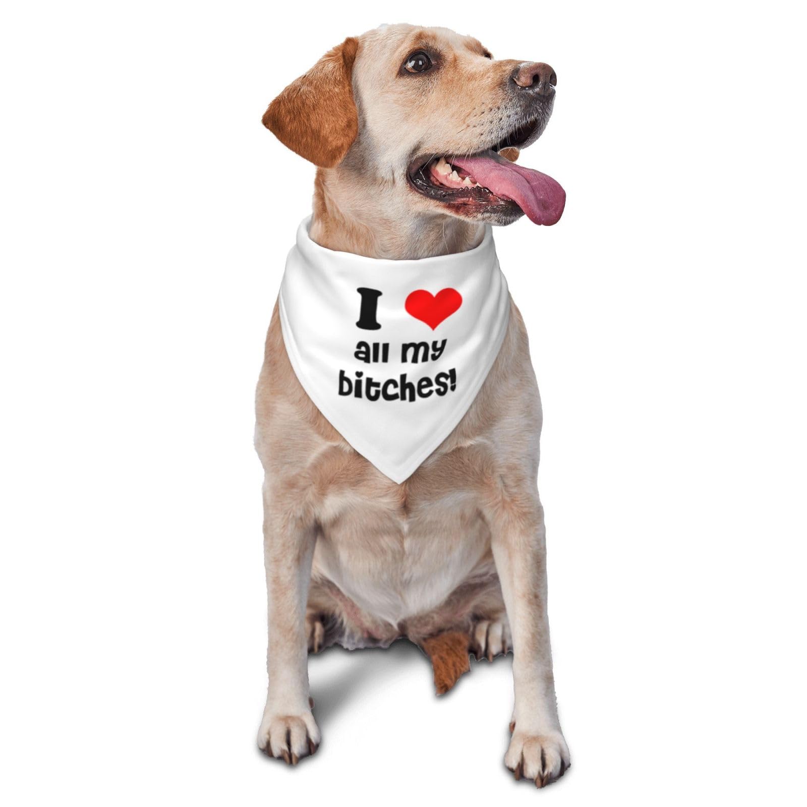 Bavoir triangulaire lavable blanc anti salive pour grand chien