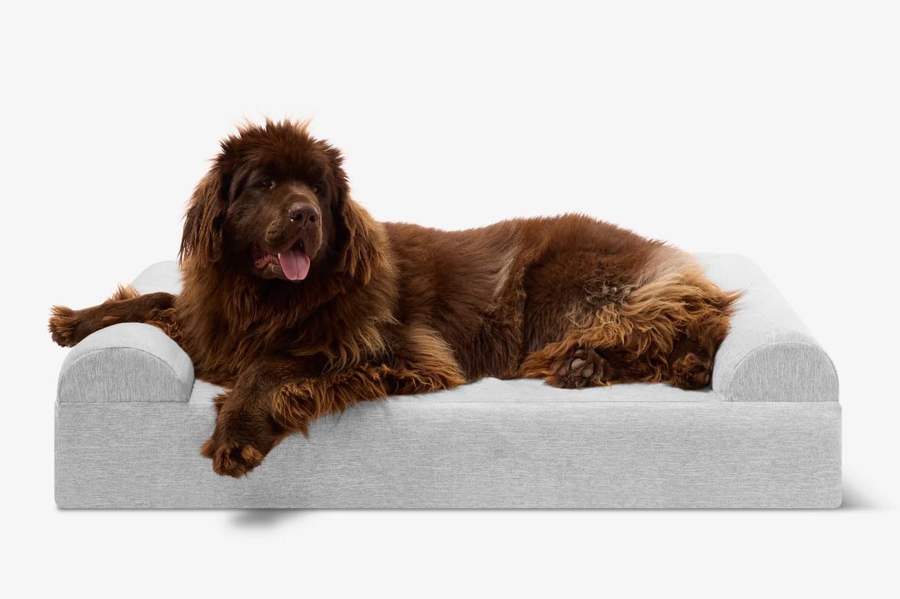 Barker Beds XL Orthopedic Dog Sofa Bed - 7" Foam, 3-Sided Bolster - 75-120 lbs - Joint Pain & Arthritis Relief - Washable - 52"x36"x7" - Stormcloud Linen