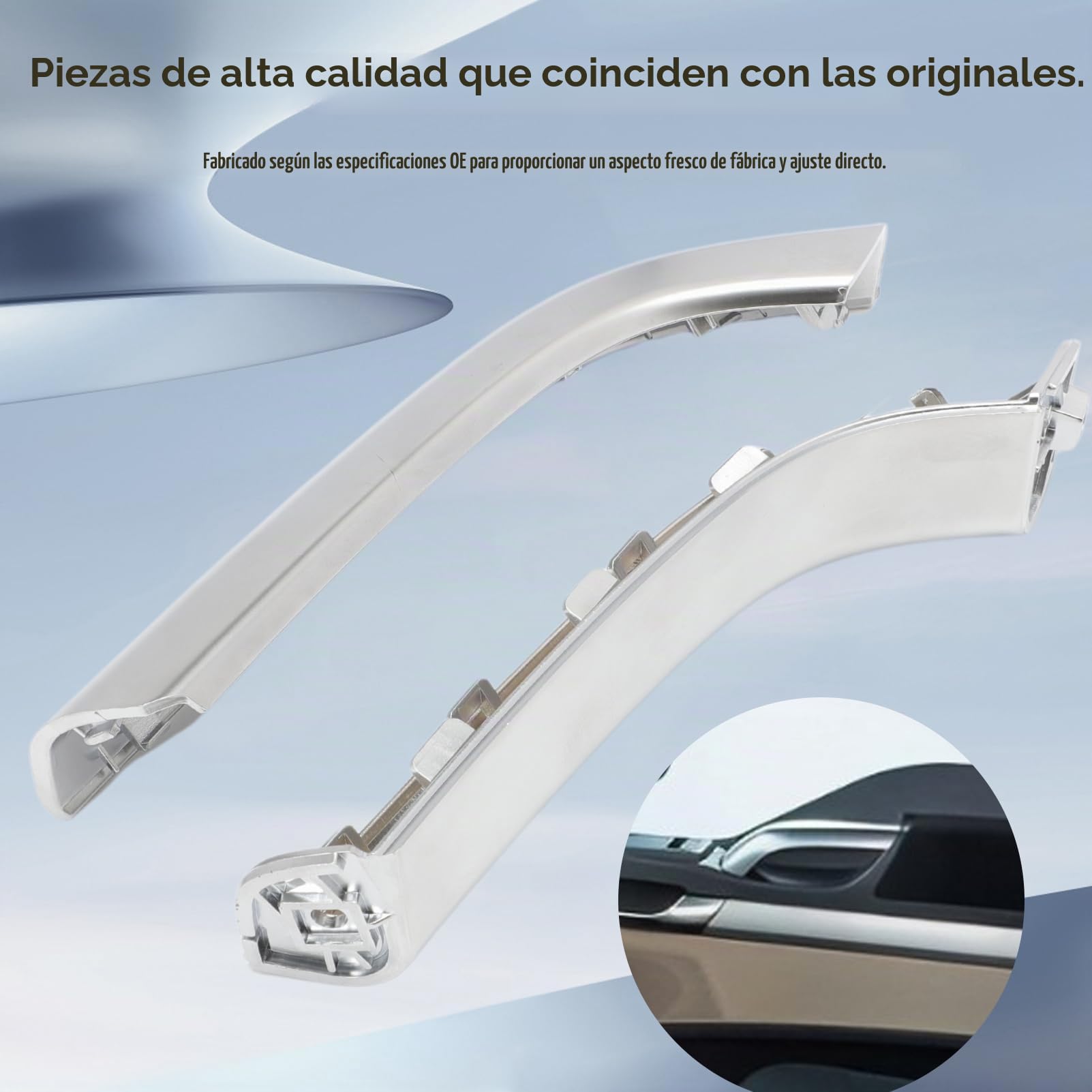 Manija Puerta Para Man TGX TGS TGL 81626410127