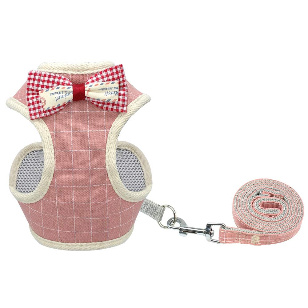 SOCHII Ensemble harnais et laisse pour chat - En maille de nylon - Pour petits chats, chiens, chatons - 5 S