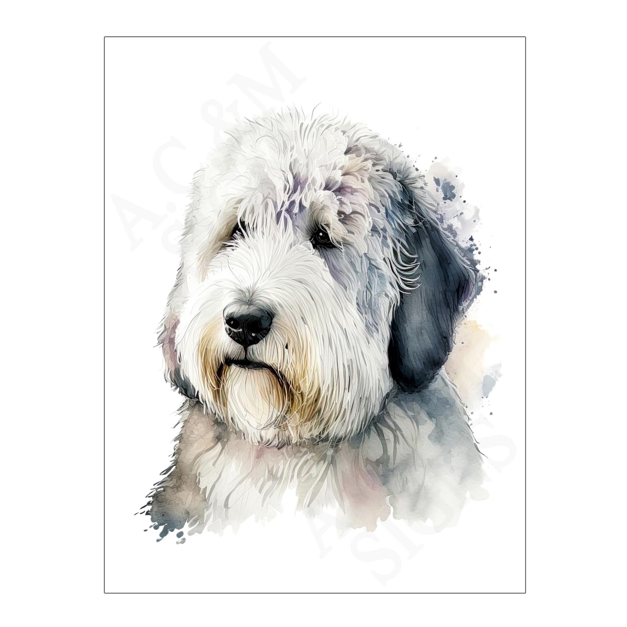 Old English Sheepdog Dog Wall Art Metal Print Picture Plaque Dogs Prints Signs Home Décor Living Room Kitchen House Bedroom Bathroom Décor Gift 15914 (10.6 x 8 inches (27cm x 20cm))