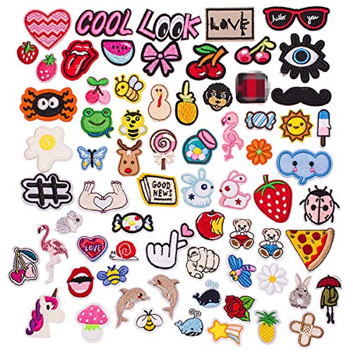 Butie.Patches 70PCS Assorted Styles Embroidered Sew On/Iron On Patch Applique Clothes Dress Plant Hat Jeans Sewing Flowers Applique DIY Accessory (70PCS-RF-45)