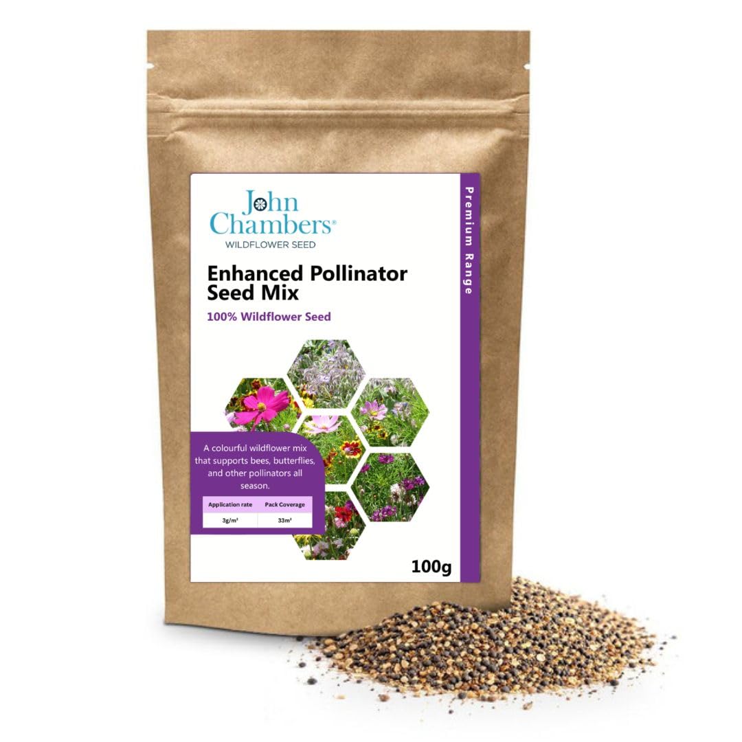 John Chambers Wildflower Seeds | 100g | 100% Pure Wild Flower Seed | No Grass | Native Sourced | Premium & General Options | Gardening Gift for Women and Men | Native Flowers (Pollinator Enhanced) โ image 1