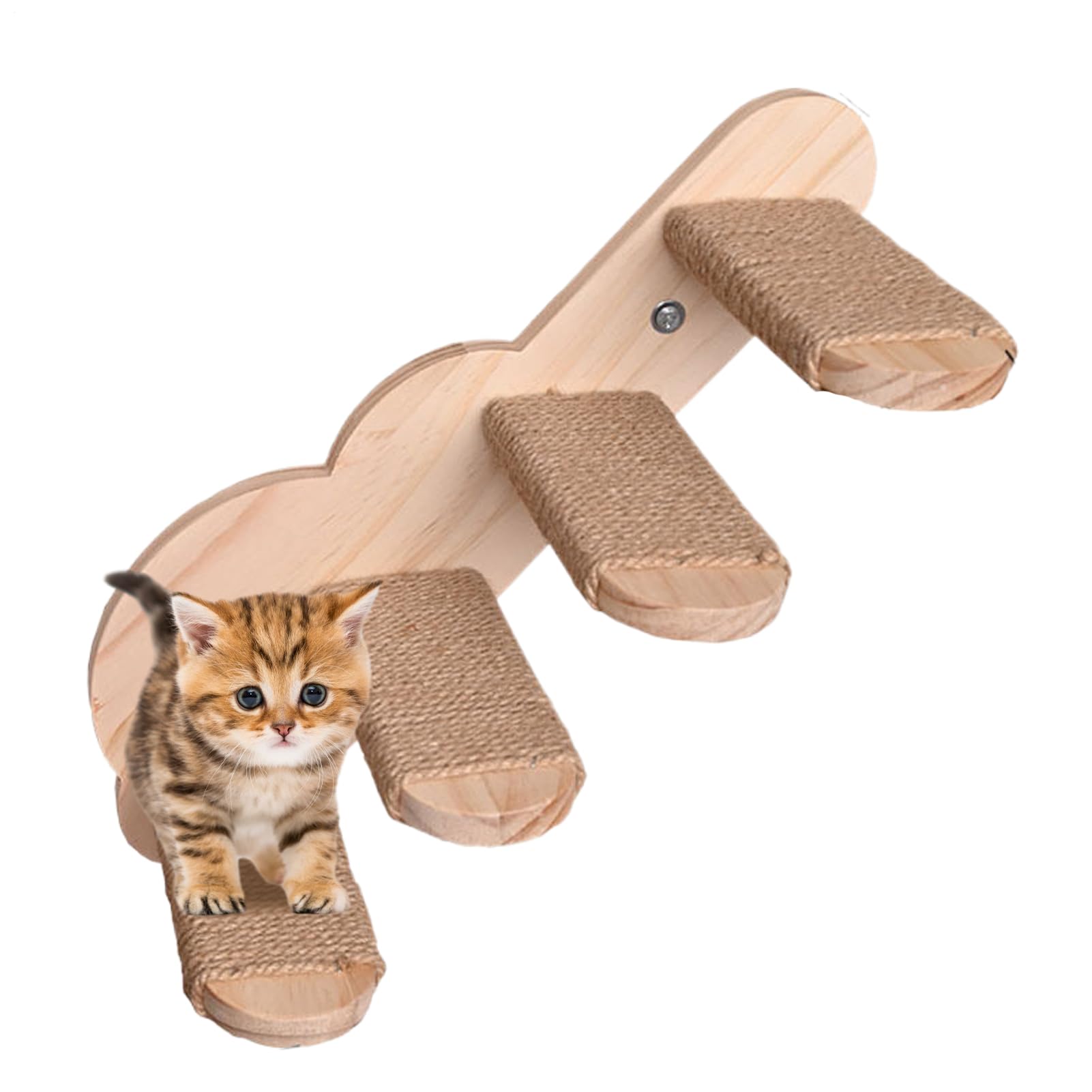 Marches d'escalade flottantes pour chat : optimisez l'espace mural de votre appartement