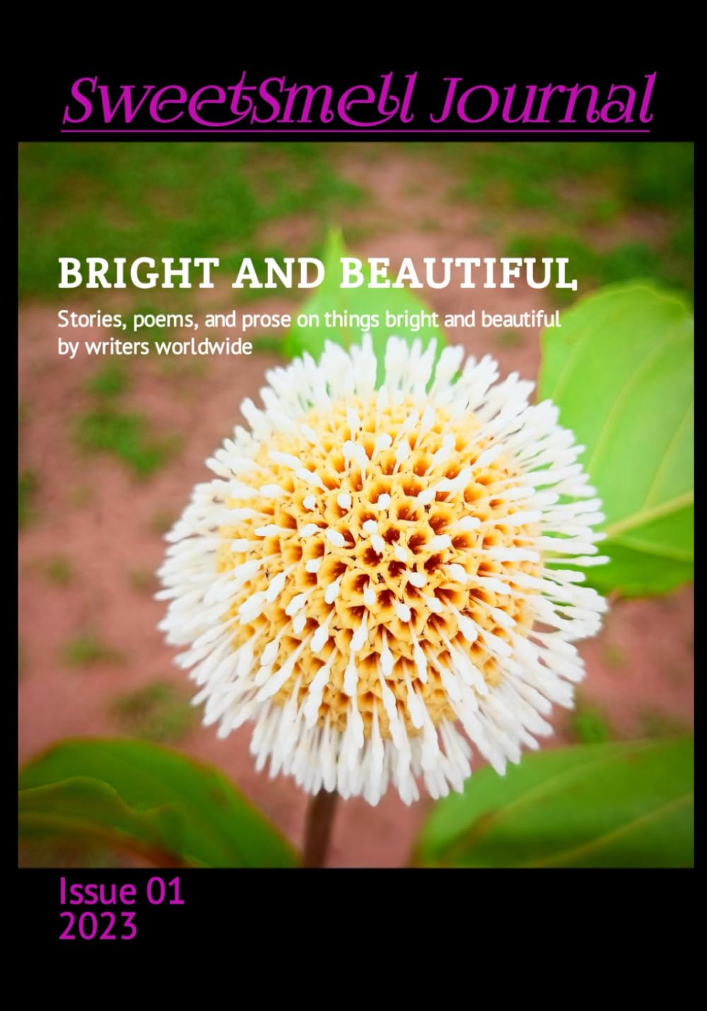 SweetSmell Journal Issue One: Bright And Beautiful
