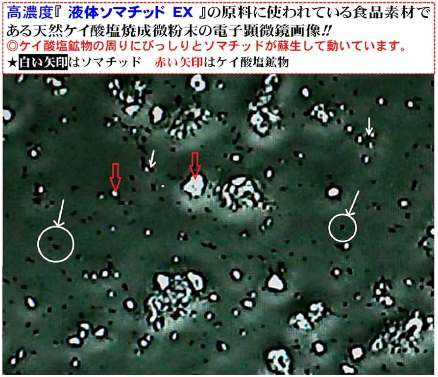 ソマチッド　粉タイプと石タイプの2袋 ソマチッド 粉タイプと石タイプの2袋
