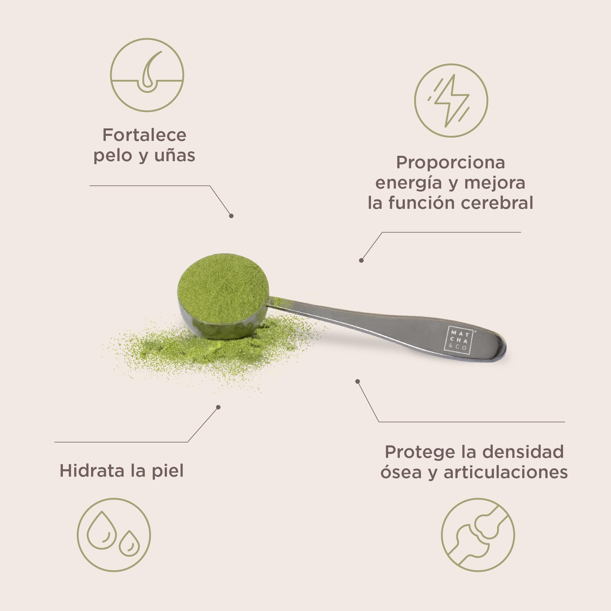 Matcha Collagen. Colágeno con Magnesio, Té Matcha y Ácido Hialurónico. Articulaciones, Piel y Uñas. 300 g en Polvo.