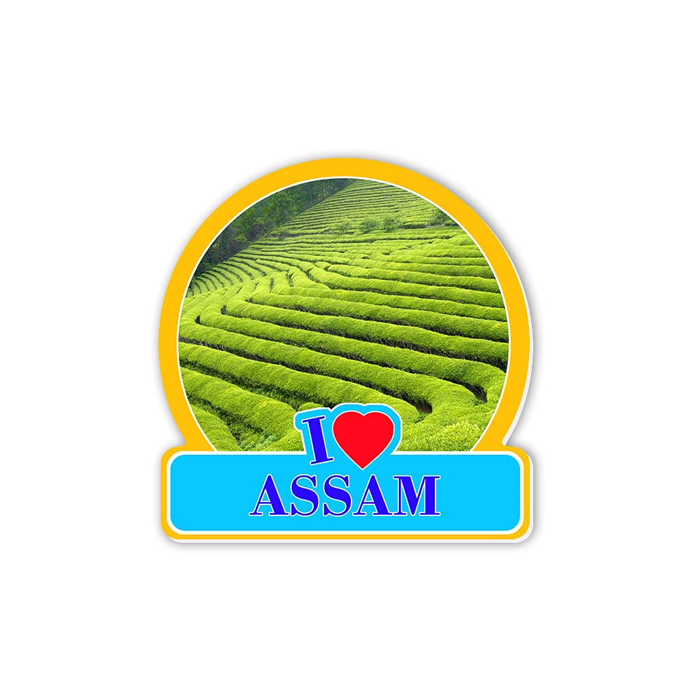 REGALOCASILA Souvenir Fridge Magnet I Love Assam Lush Green Tea Home Decoration Kitchen Decor Accessories