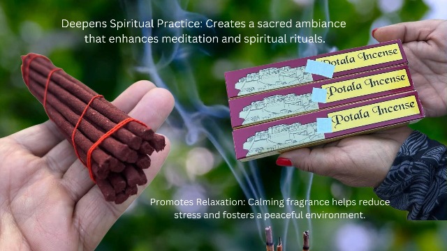 Amazon.com: DharmaObjects 3 Box Potala 60 Sticks Tibetan