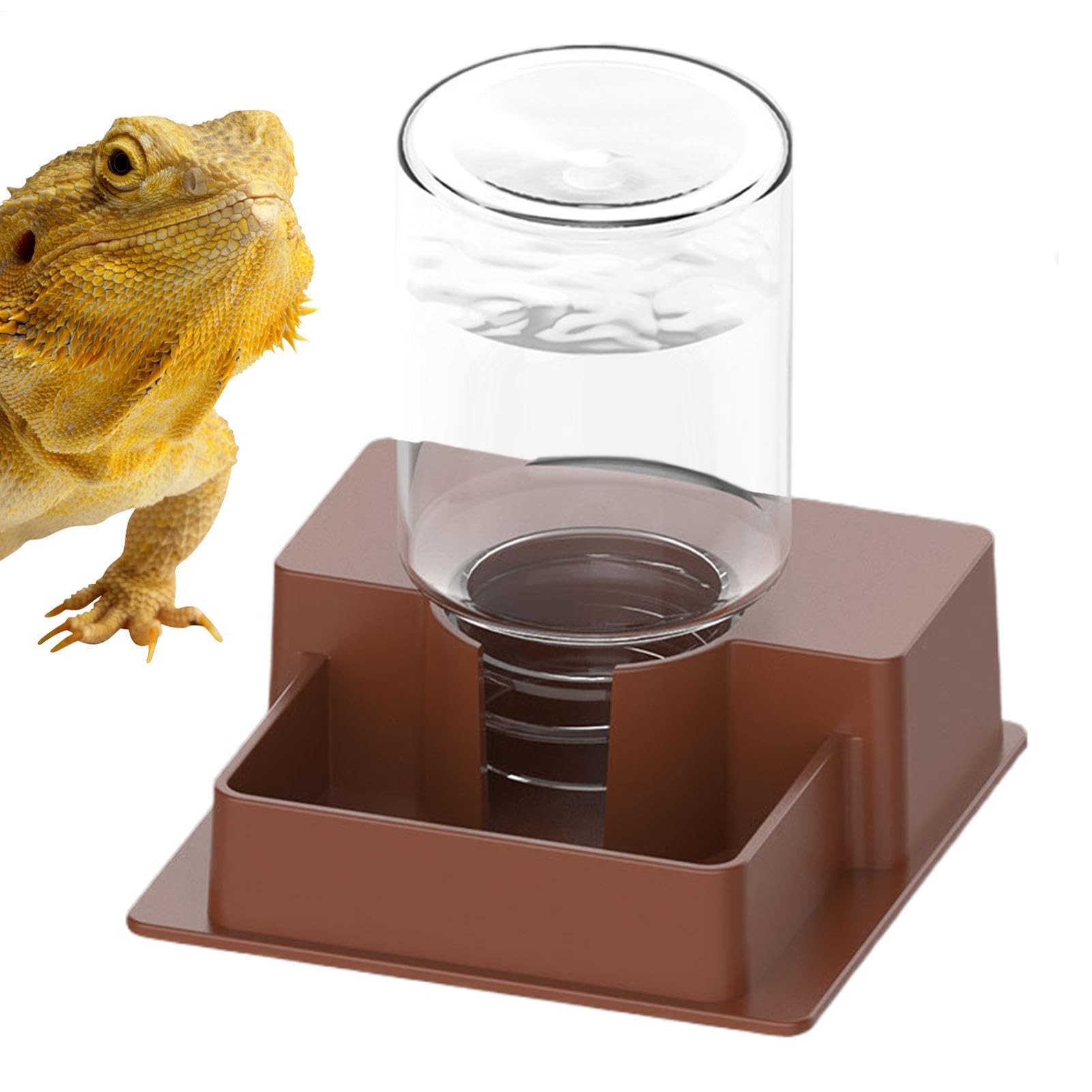 Tortoise Water Dispenser Wide Mouth and Leakproof