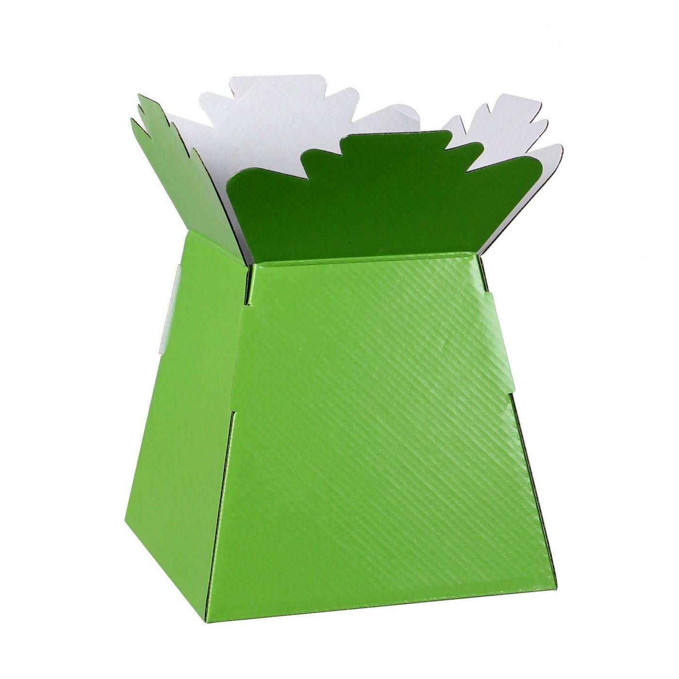 Hand-Tied Vase Florist Bouquet Boxes | Aqua Presentation & Transporter Boxes | Pack of 5 | Durable Flower & Plant Packaging | Glossy Lime Green