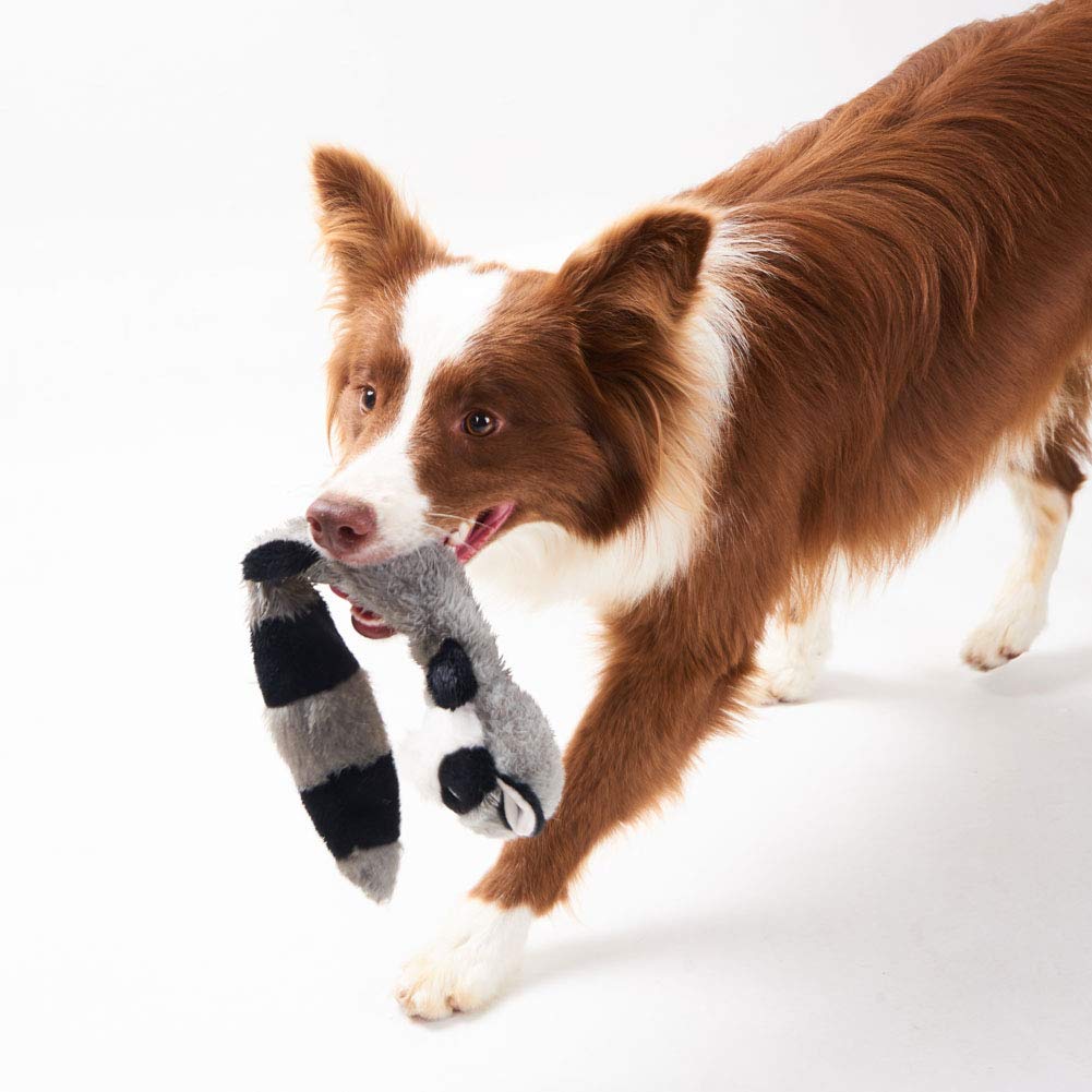 JOYELF Jouet en peluche pour chien qui couine, animaux en peluche pour chien, renard et raton laveur avec papier froissé