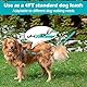 PetBonus No Pull Anti-Zieh Hundeleine, Keine Verwicklung Doppelleine für Anti-Zug Geschirr, Reflektierend Hundeleine zum Trainieren und Gassi gehen für große mittlere Hunde (Türkis)