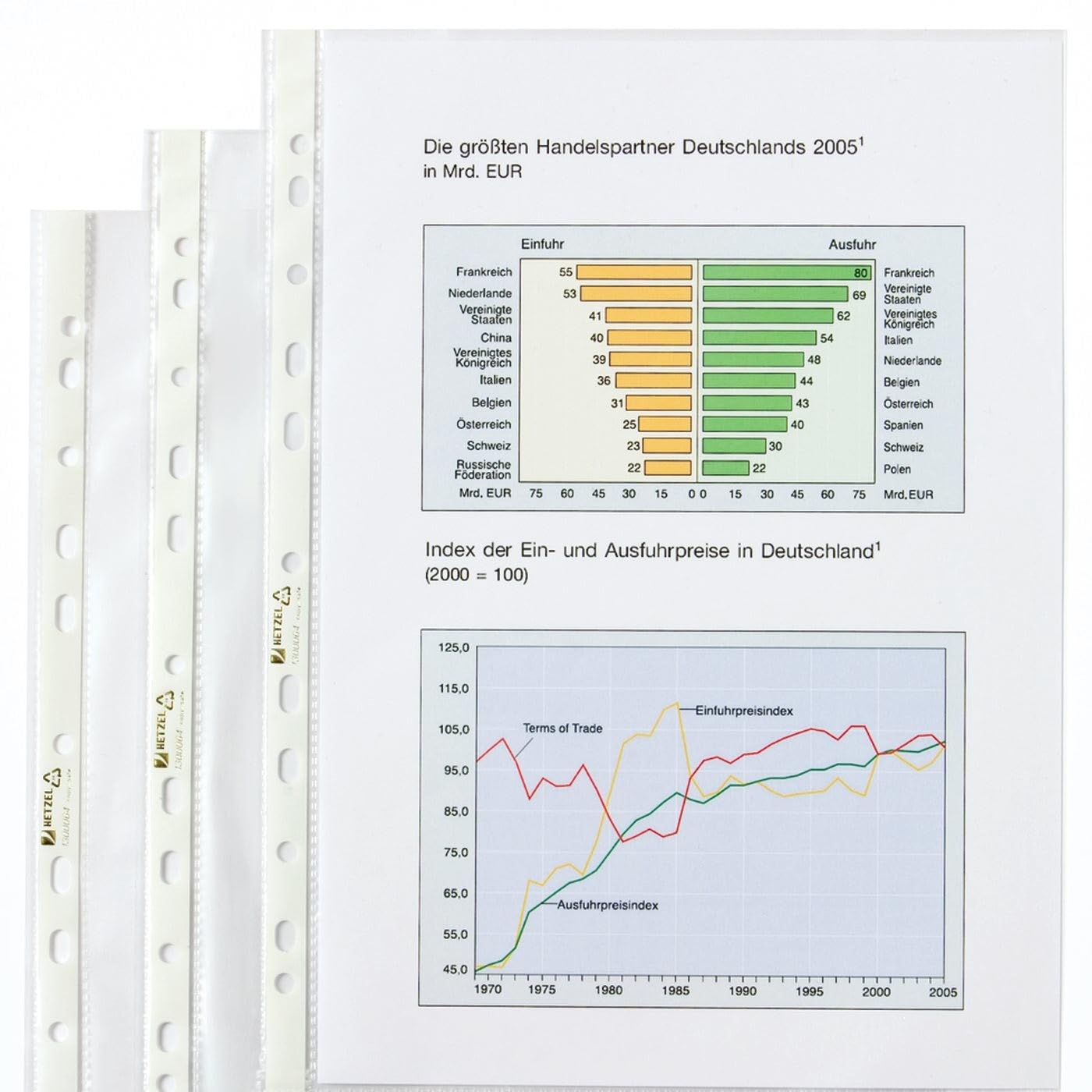 Hetzel Economy - Buste trasparenti formato DIN A4, 10 x 100 pezzi, trasparente