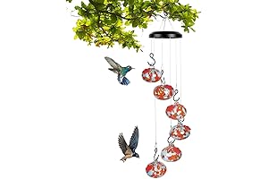 Innovative Ant Cube Hummingbird Feeder