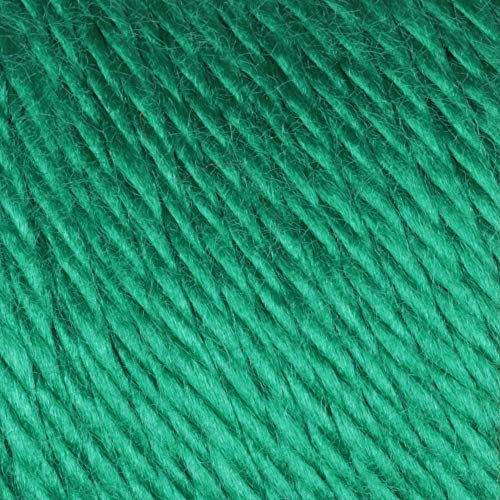 Image of Caron Simply Soft Solids Yarn, 6oz, Gauge 4 Medium, 100% acrylic - Green - Machine Wash & Dry
