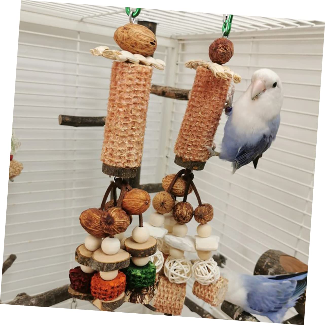 BESPORTBLE 4pièces Jouet à Mâcher Suspendu De Seiche pour Perroquets Et Perruches Accessoire Ludique pour Cage à Oiseaux pour Enrichissement Divertissement des Oiseaux