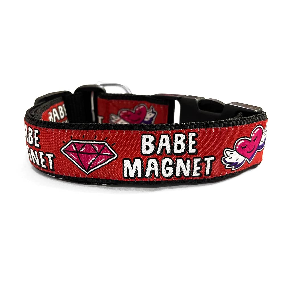 That Dog In Tuxedo Collar for Dogs Babe Magnet - Adjustable and Strong (Red, Size - XL) (B09DX5LB3V) Amazon Price History, Amazon Price Tracker