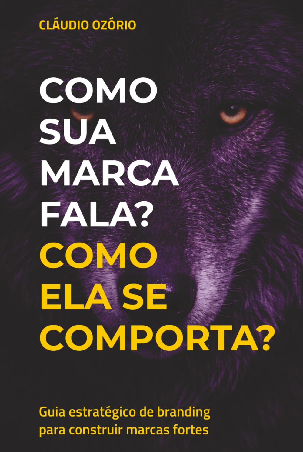 Como sua marca fala? Como ela se comporta?: Guia estratégico de branding para construir marcas fortes