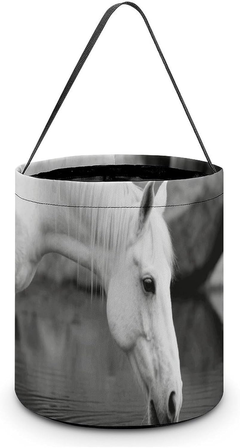 Black And White Horse...