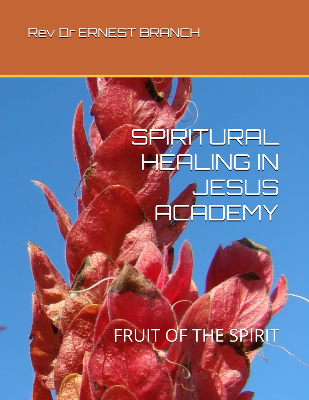 SPIRITURAL HEALING IN JESUS ACADEMY: FRUIT OF THE SPIRIT