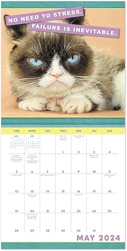 Miniatura 7 de 2024 Grumpy Cat Mini Monthly Wall Calendar, 7" x 7" (DDMN682824)