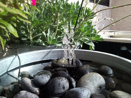 Fontana galleggiante a energia solare, con ninfea