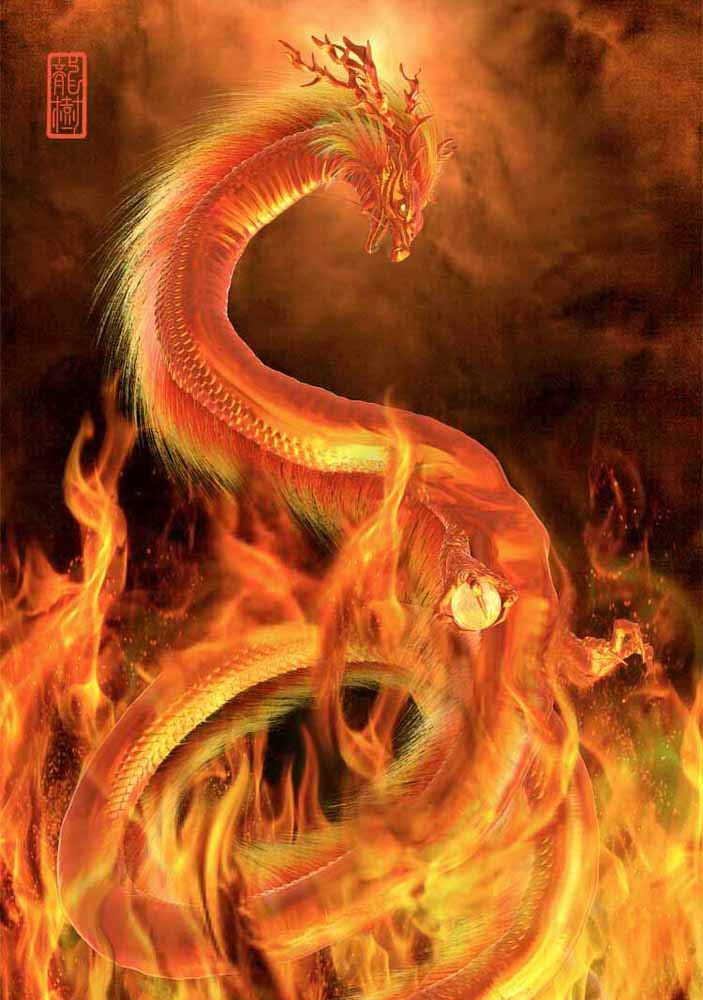Amazon.co.jp: Dragon Picture 
