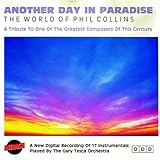 Against All Odds (Take A Look At Me Now) - Instrumental Cover