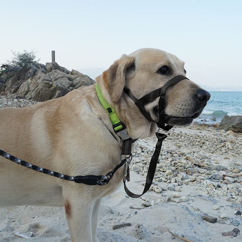 WUDQIJI Ausbildungsgeschirr Hundehalfter Haustier Maulkorb Für Hunde Maulkorb Hunde Trainingsmaulkorb Hund Maulkorb Schwarz Hundemundschutz Training Halter verhindert Bellen Beißen und Kauen (L)