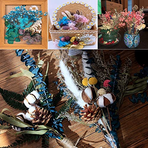 10 cajas de flores secas coloridas para velas miniatura 7