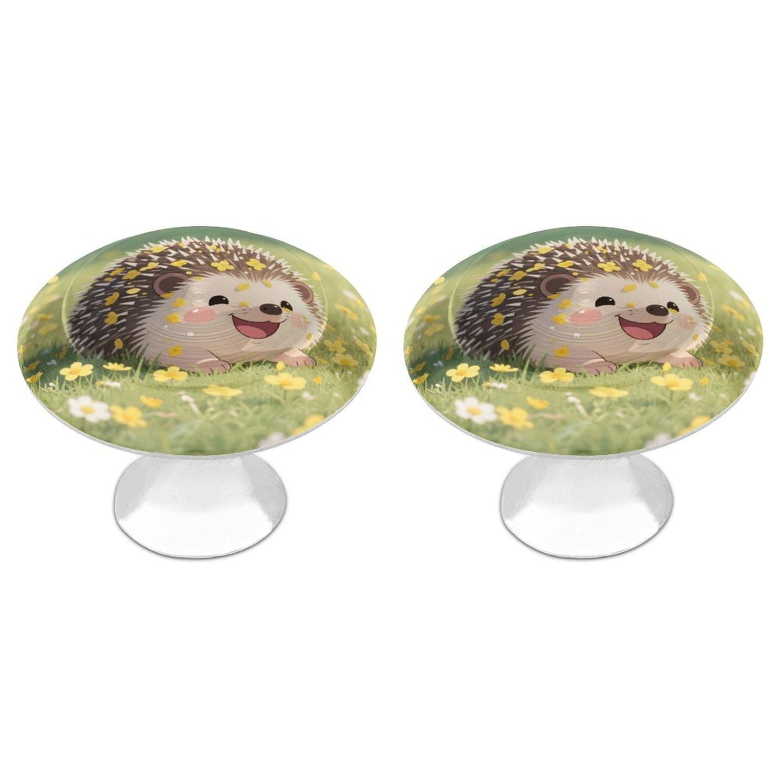 DWVTSLH Floral Hedgehog Cabinet Handles 2 Pack Stainless Steel Kitchen Drawer Pulls with Installation Screws Round Dresser Drawer Knobs 1.1 Inch Modern Cabinet Hardware Door Handles