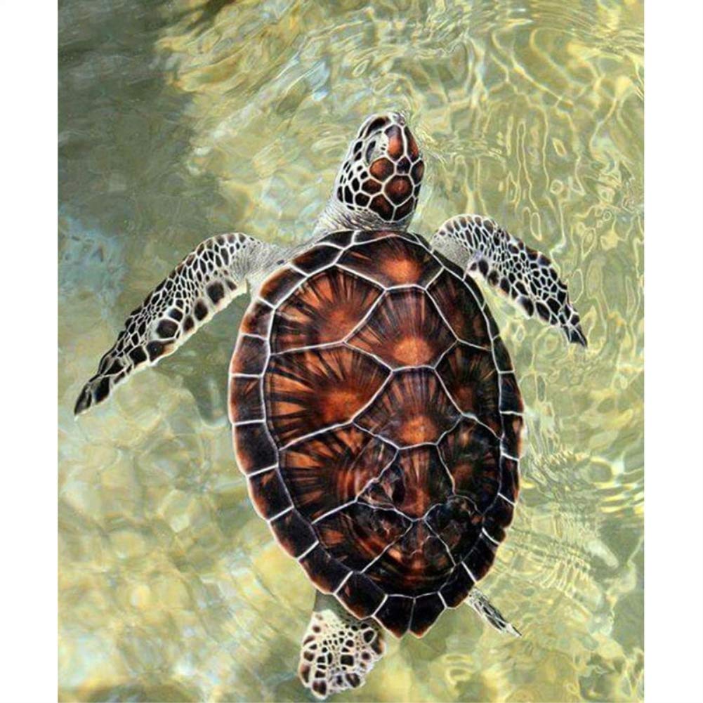 TianMaiGeLun Full Drill 5d Diamond Painting Kits Cross Stitch Craft Kit New DIY Kits for Kids Adults Paint by Number Kits (Turtle, 25x30cm, Round Drill)