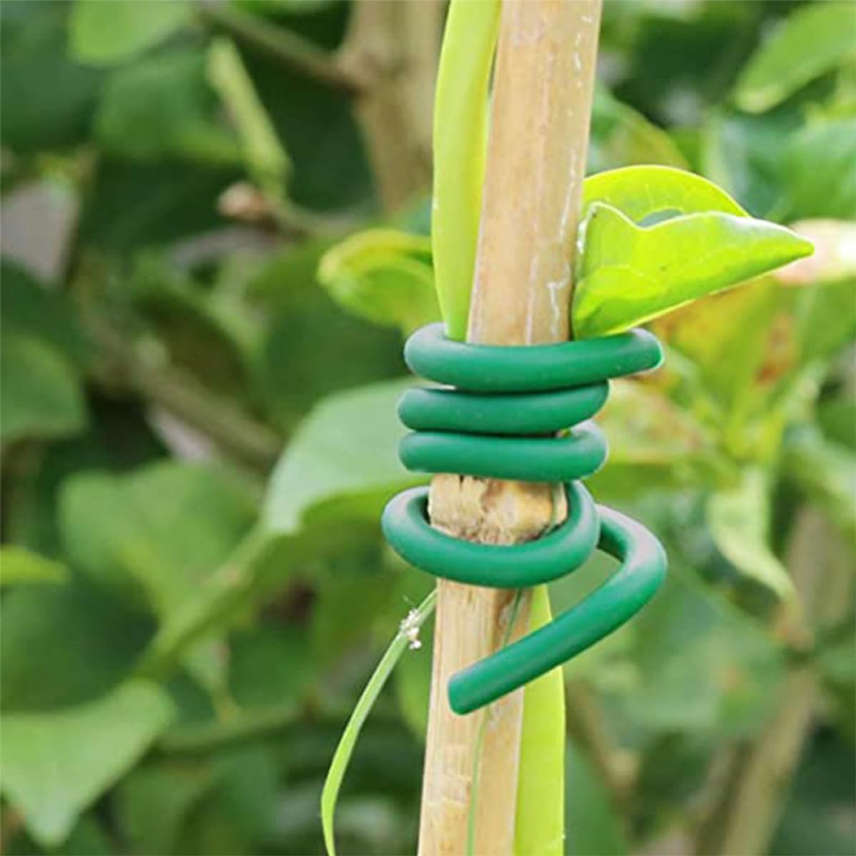 IMIKEYA Attaches pour Plantes Vertes en TPR et Fer, 2 Rouleaux Polyvalents pour Sécuriser Arbustes et Vignes Le Jardin