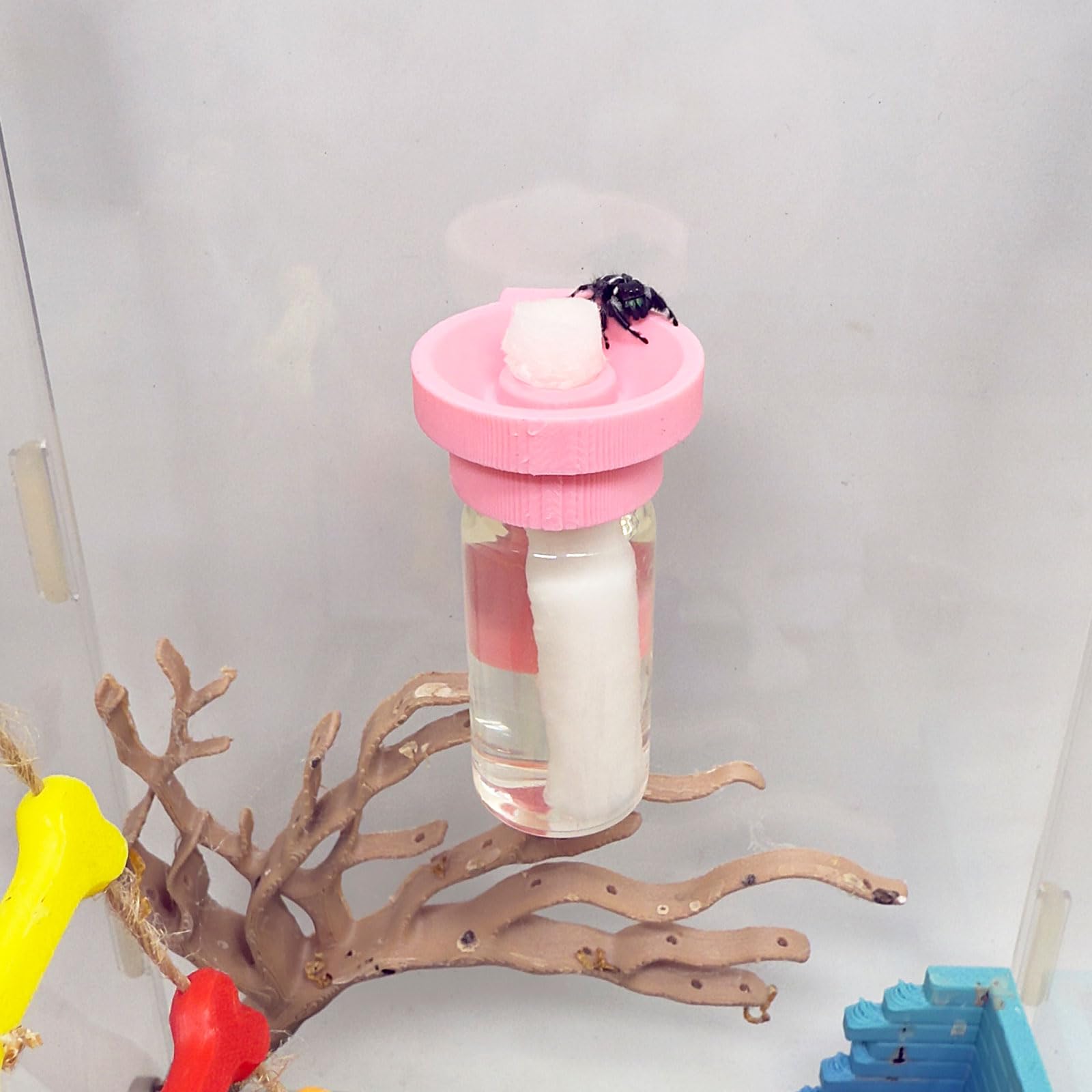 Jumping Spider Water Dispenser, Magnetic Hanging Feeder,Suitable for Jumping Spiders,Tarantulas, Praying Mantises,Arboreal Animals, and Other Small Animal Enclosure Accessories (Pink, 10ML)
