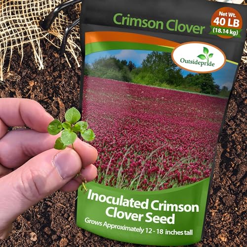 image for Outsidepride Crimson Clover Seeds - 40 lbs. Annual, Nitrocoated, & Ino