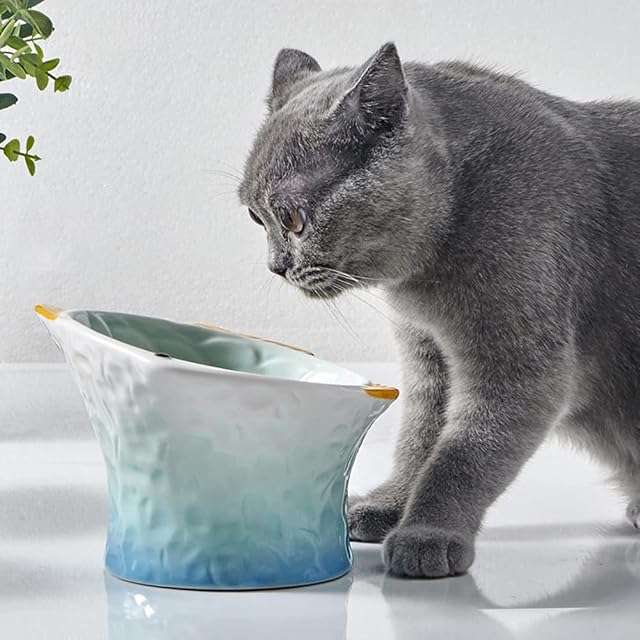 Foto 2 de 8 de ACSUZ Cuenco De Comida De Cerámica para Gatos Bonitos
