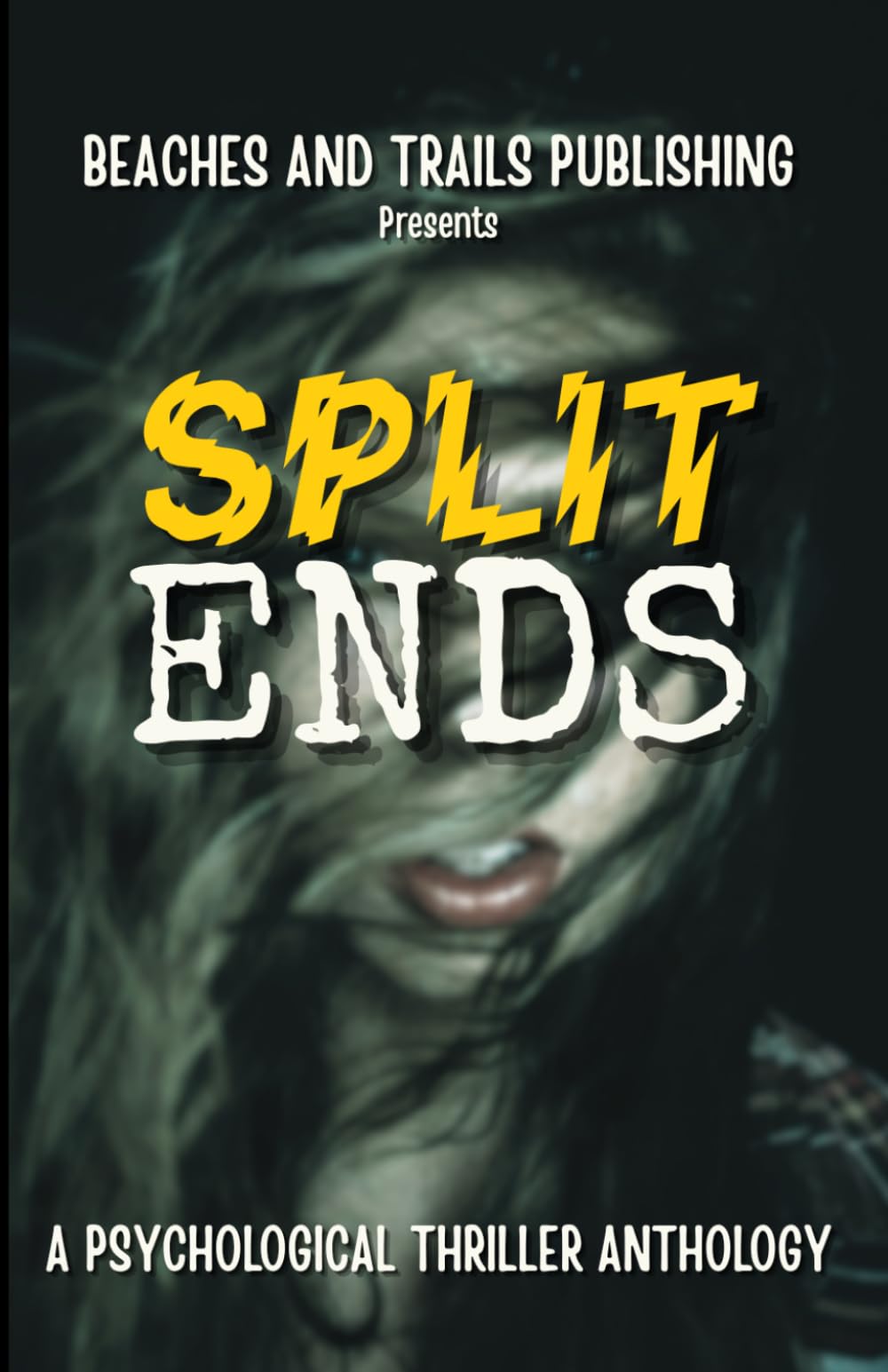Split Ends: A Psychological Thriller Anthology