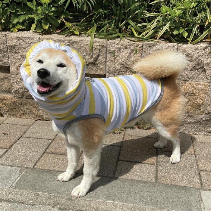 Amazon | 犬服 VERY 2023春夏 フード付き 接触冷感クールボーダー