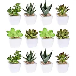Kit 12 Vasos Decorativo Suculentas Artificiais Sortidas