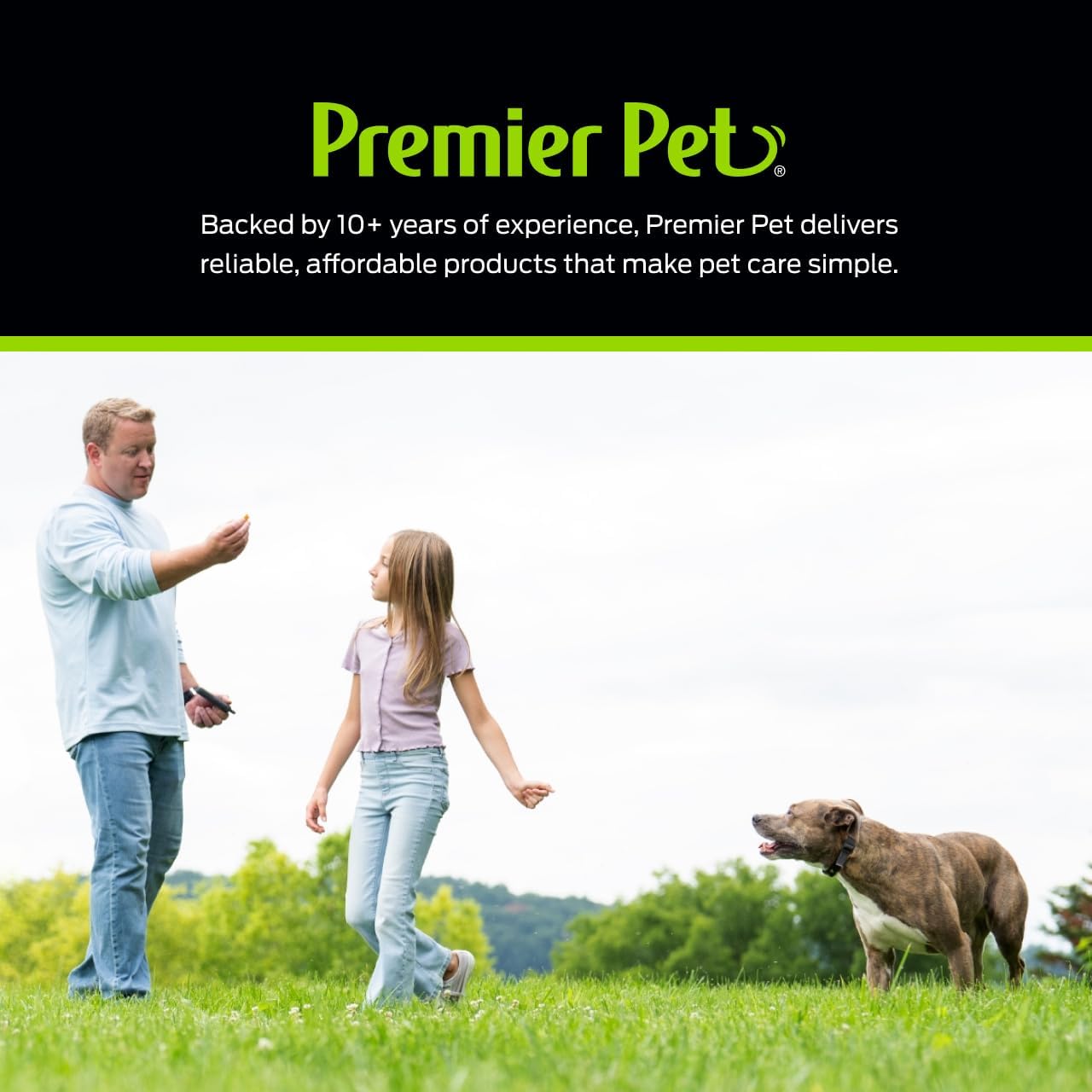 Premier Pet Dog Shock Collar - Safe Behavior Training - 1000ft Long Range Training Shock Collar with Remote - Waterproof Rechargeable Design - 3 Modes - 16 Levels of Static Stimulation - 2 Collars