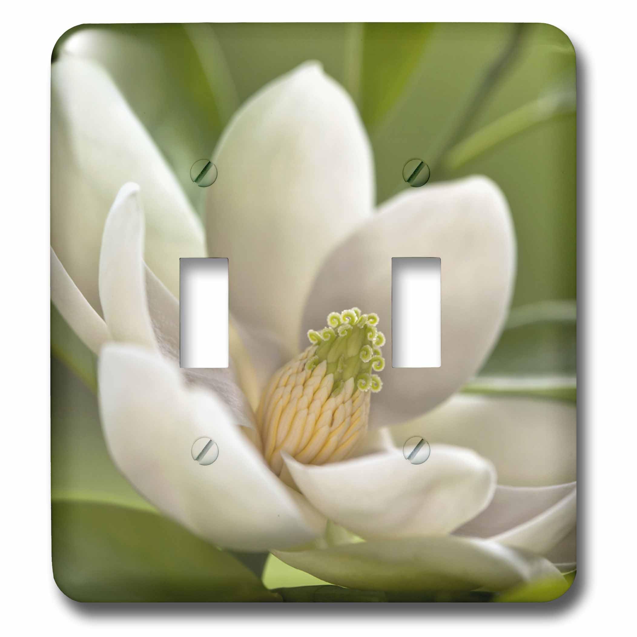 Double interrupteur à bascule Magnolia par Adam Jones
