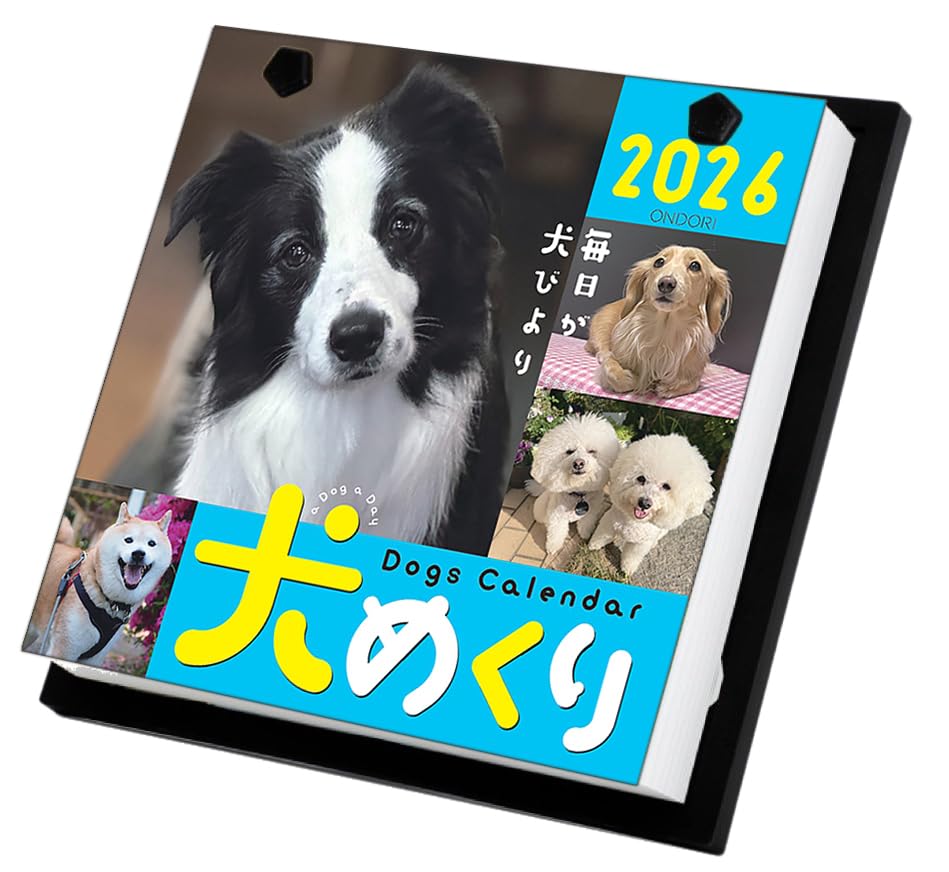 日めくり2026 トミカ 日めくりカレンダー2026｜トミカ/その他グッズ｜限定品や新作も
