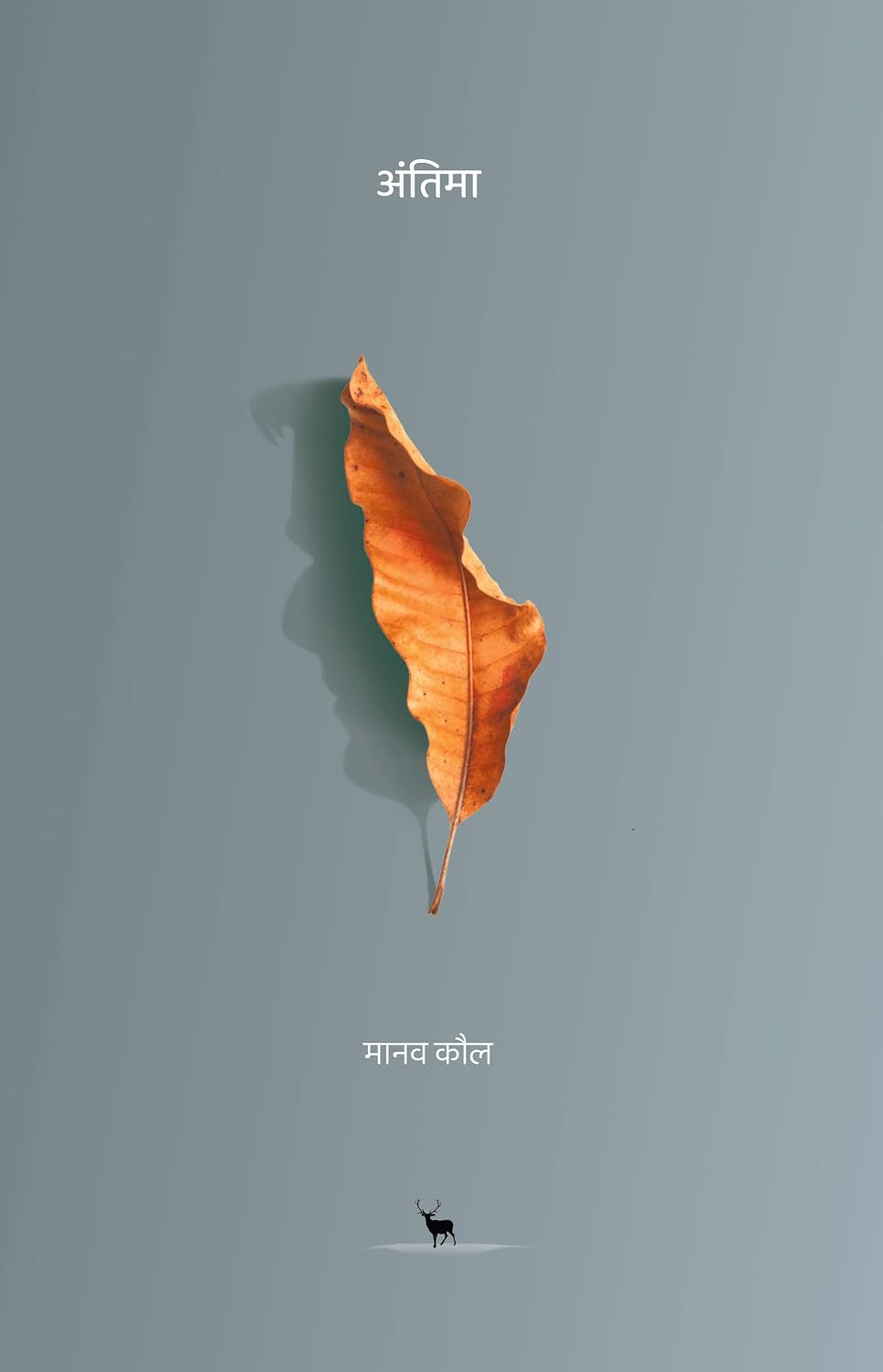Antima । अंतिमा (Hindi Edition)