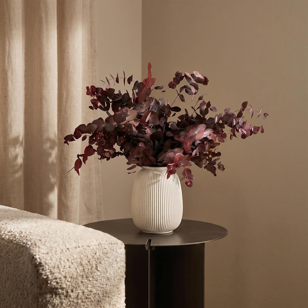 BLAINE - Fiori Secchi Decorativi Eucalipto Granata Medio 80 cm